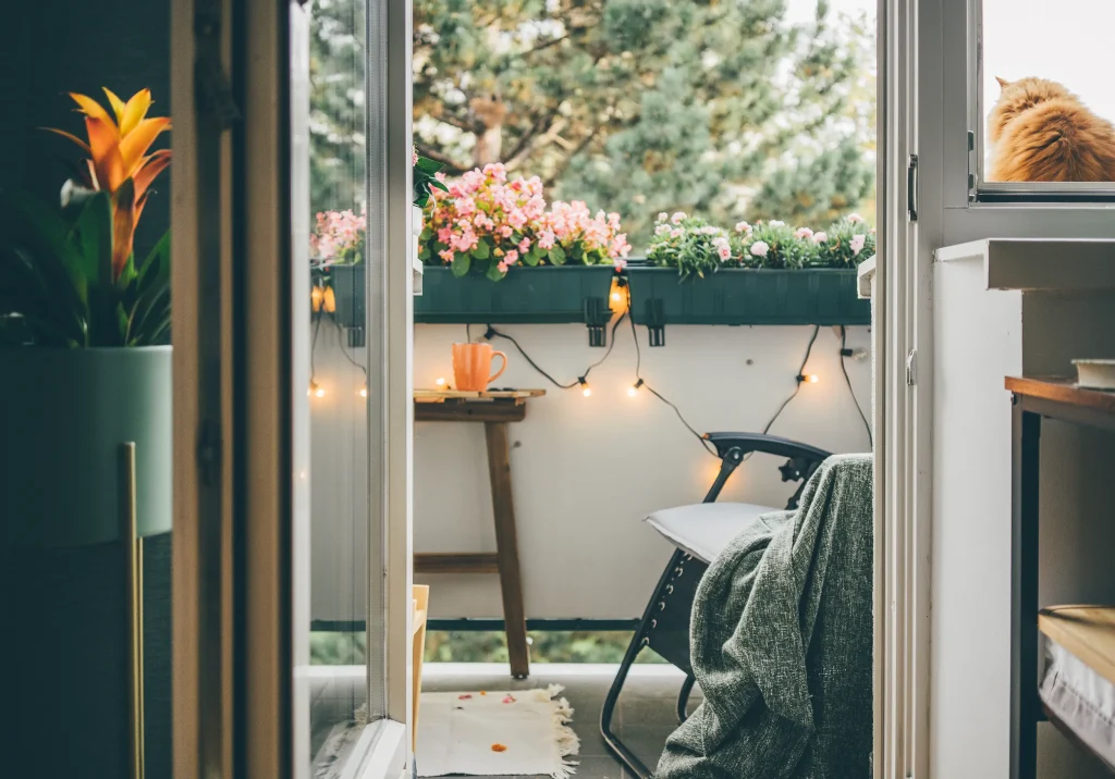 elementos naturales para autocuidado en casa