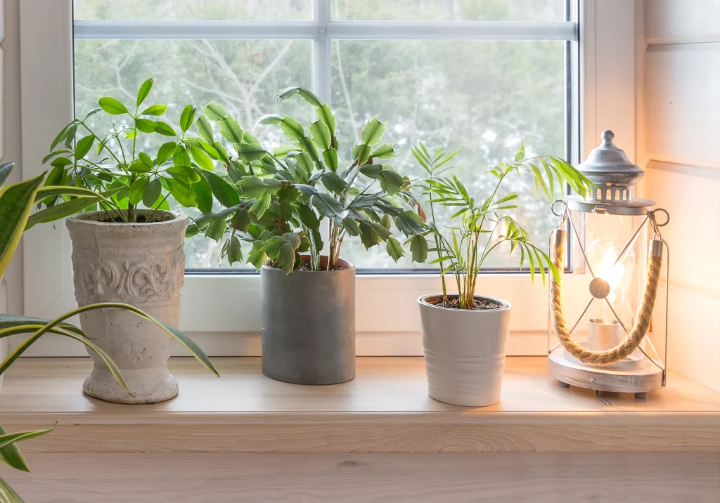 iluminación cálida para crear ambiente relajante