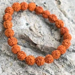 Pulsera Elástica de Semillas de Rudraksha