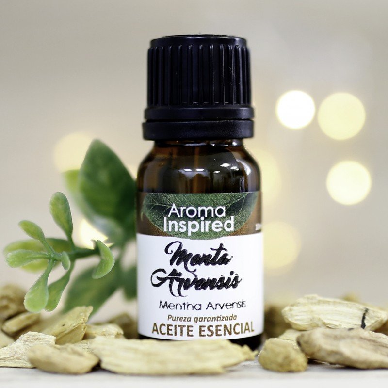 Aceite Esencial de Menta Arvensis